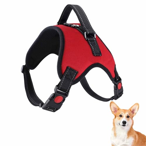 Image of 1 PCS Dog Harness No Pull Adjustable Puppy Vest Harness Small Dog Mesh Breathable Soft Padded Pet Chest Strap (XS, Red), puppy leads from 8 weeks