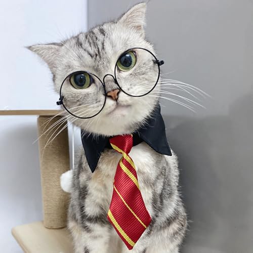 Disfraz de Brujo para Mascotas Pequeñas miniatura 3