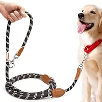 PETCOOZ Hundeleine 3 M Verstellbare Schleppleine für Mittel- & Großhunde(15-60kg), Reflektierende Freihandleine mit 2 Karabiner, Doppelleine aus Robustem Nylon, 200 kg Extreme Kraft