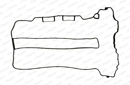 Payen Jm5071 - Guarnizione, Copritestata
