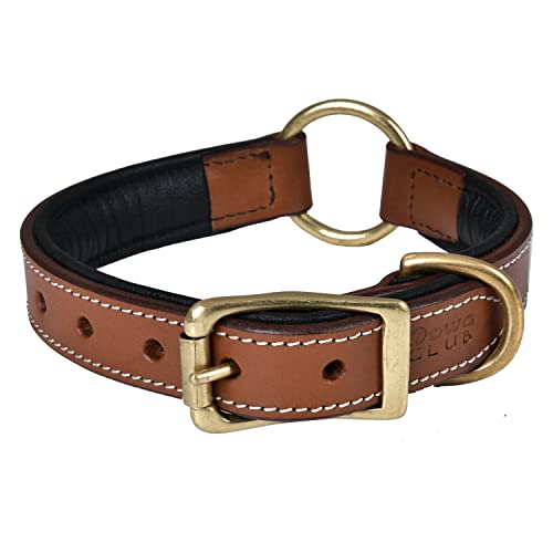 Image of Genuine Leather Adventure Dog Collar, Large, Soft Padding | Center O Ring, Brass Buckle, Medium, D Ring, Heavy Duty, Hand Tooled, Soft Nappa Padding, Fit Neck Size 18.5 inch-22.5 inch