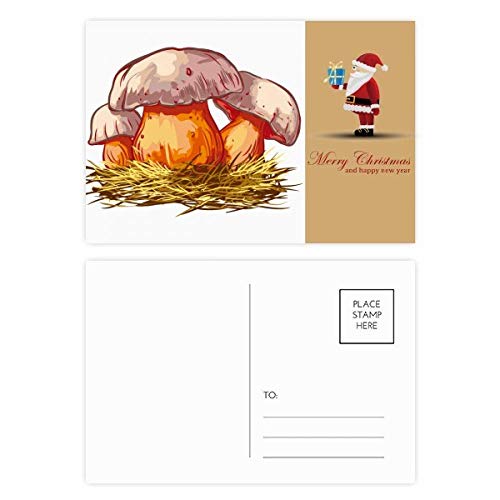 Cartes postales champignon bleu lot de 20 pour un cadeau poétique