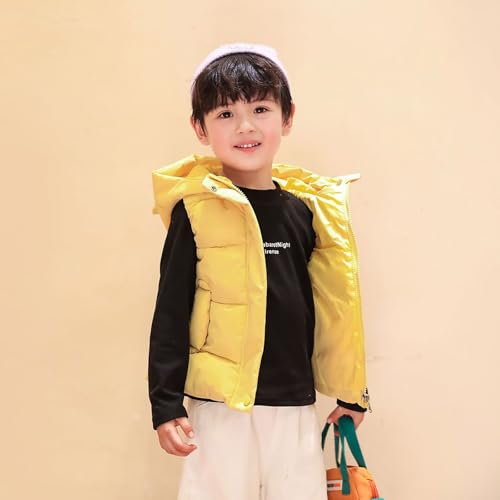 Toddler Boys Girls Puffer Vest Baby Cute Hooded Quilted Jackets Sleeveless Lightweight Puffy Zip Up Down Gilet4