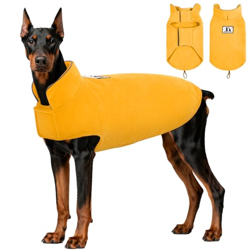 Gilet polaire chien pour promenades nocturnes en hiver