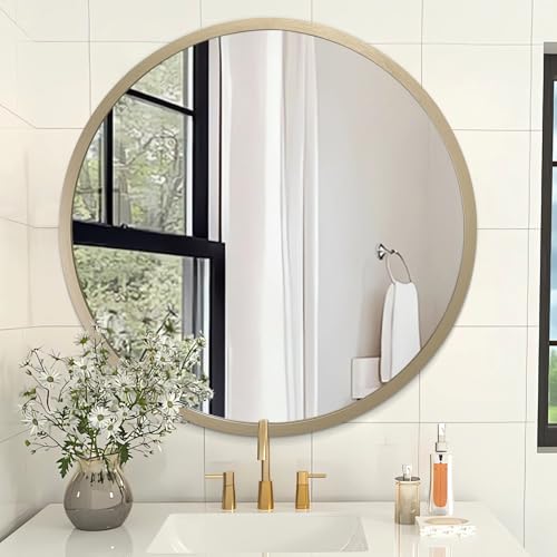 Image of AOAOPQ Mirror Wall for Bathroom Metal Brushed Frame Ative Wall Mounted Home Living Room Entryway Bedroom Bronze