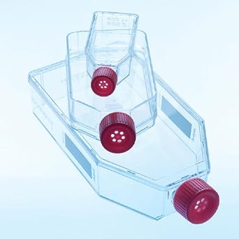 658950 CELLCOAT T75 Tissue Culture Flask, Canted Neck with Filter Cap, Coated with Poly-D-Lysine, 250 mL Volume Pack of 50