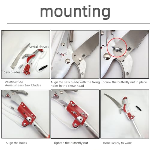 Cabezal de sierra podadora extensible para jardín miniatura 4