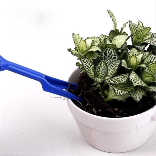 Set de 2 mini herramientas para jardín de plástico azul miniatura 4
