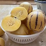 500 piezas Semillas de plantas de melón pera fruta fresco maceta resistente plantas perennes Semillas de pera melón, Melón Pepino, planta de interior de árboles frutales columnares