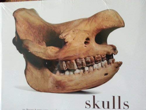 Skulls