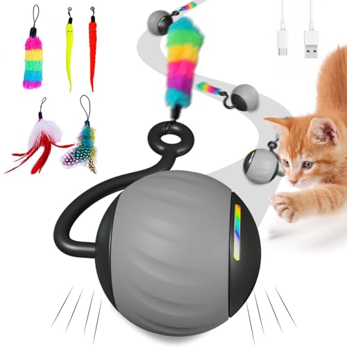 Interactive Cat Toys for Indoor Cats, DIY 5 in 1 Automatic Moving...