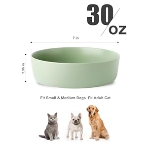 Ubee Ubee Ceramic Dog Bowl 7 Inch Dog Dish Dog Food Bowl Pet Food Water Dish Feeding for Medium Small Dogs and Large Cat Sage Green Cucciolini Doodles Ubee ubee ceramic dog bowl 7 inch dog dish dog food bowl pet food water dish feeding for medium small dogs and large cat sage green cucciolini doodles