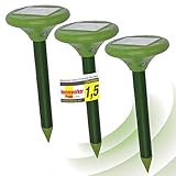 GRATIS Fliegenklatsche 