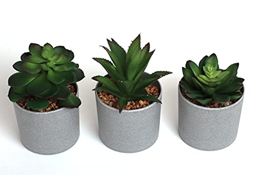 EB Designs Set of 3 Artificial Succulent Plants – Fake Greenery in Grey Pots with Pebbles – Decorative Faux Plants for Home, Office, Indoor & Outdoor Use - Cosy Home Interiors EB Designs Set of 3 Artificial Succulent Plants – Fake Greenery in Grey Pots with Pebbles – Decorative Faux Plants for Home, Office, Indoor & Outdoor Use - Image 3