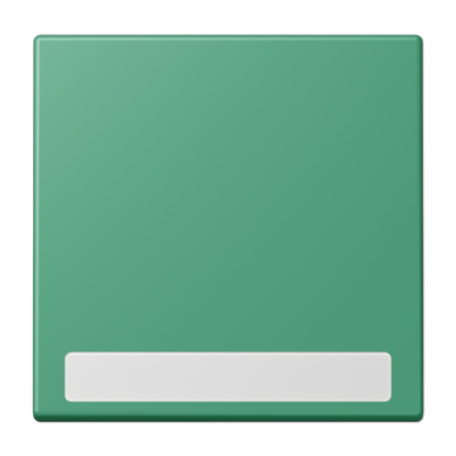 Touche simple LC4320G JUNG LC990NA250 plaque de finition pour interrupteur mural