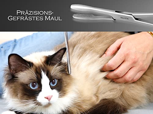 Zupfzange für Hundeohren Haarzange Hunde Haarzupfzange Tierhaar-Entferner Edelstahl Rostfrei mit Innenzahnung ohne Sperre in Profi-Qualität (14 cm)