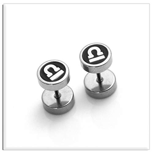 Xusamss Fashion Stainless Steel Twelve Constellation Barbell Stud Earrings4