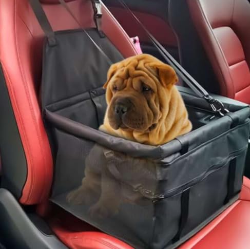 Assento de Carro para Cães e Gatos, Cadeirinha de Segurança, Preto