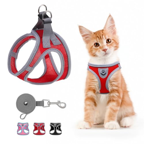 SCENEREAL Cat Harness Set