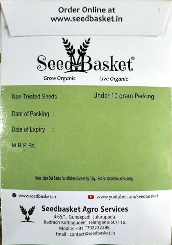 Image of Seed Basket Desi /Native /Non-GMO Pumpkin Seeds for Home and Kitchen and Vegetable Gardening | 25 Seeds | Best in Germination | Free Growing Instruction Manual (Pack Of 3)