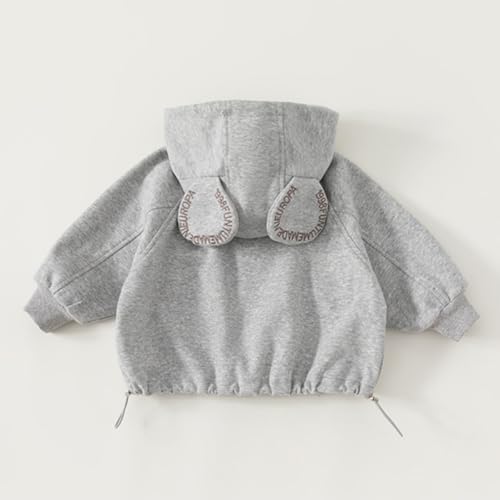 Toddler Zip Up Hoodie Children's Cardigan Top Unisex Hooded Jacket for Spring and Autumn2