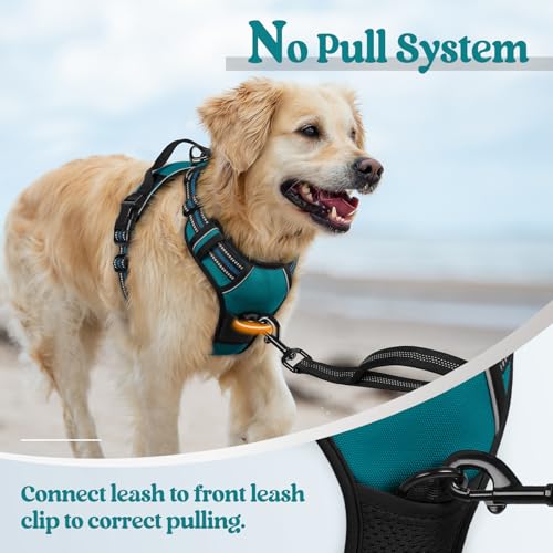 Image of rabbitgoo Dog Harness No Pull with 2 Leash Clips, Adjustable Soft Padded, Reflective Oxford No Choke Pet Vest with Easy Control Handle for Large Dogs, Blue Coral, L