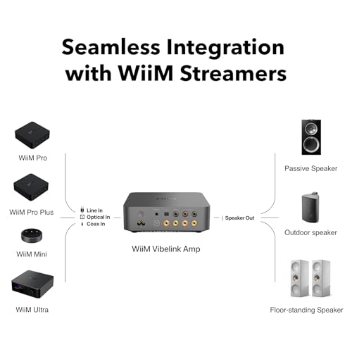 Image of WiiM Vibelink Amp | 100W Power Amplifier with Premium ESS 9039Q2M DAC and TI TPA3255 | Compatible with WiiM Mini, Pro, Pro Plus, and Ultra | RCA, Coax, and Optical Inputs | Space Gray