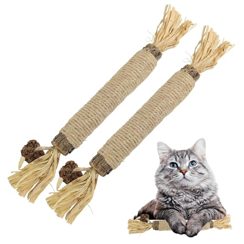 Catnip Silvervine Sticks for Cats | Silver Vine Chew Toy or Cat Chew Stick | Kitten Teething Toys | Cat Dental Chew with Cat Raffia Grass for Healthy Teeth & Digestion | Silvervine Cat Toy | 2 Sticks