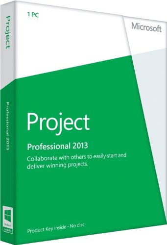 Microsoft Project Professional 2013