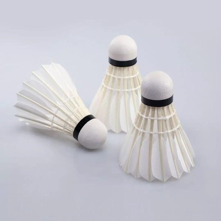 Shuttlecock-picture-17