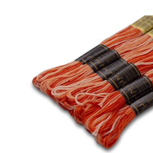 Image of Pack of 12 Premium Embroidery Thread | 100% Egyptian Cotton Premium Skeins | Cross Stitch Embroidery Floss | Oeko TEX Certified | Ideal for Arts & Crafts (Orange Variegated 1220)