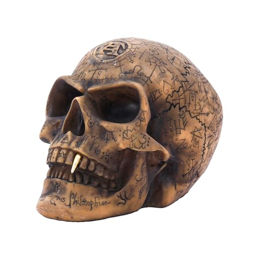HOTMYIDA Weird Skull Head Sculpture 9.1'' Resin Human Skeleton Statue Collectible Halloween Decoration Home Decor