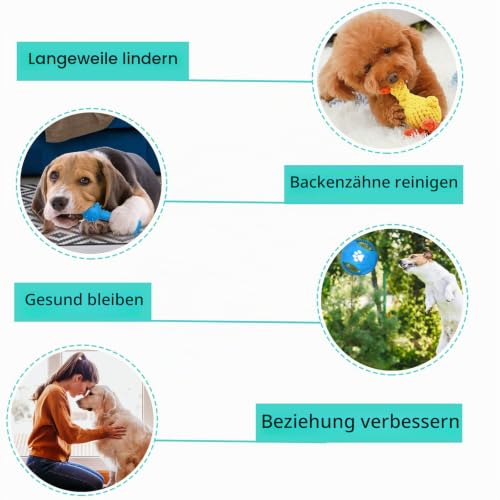 TOPSEAS Welpenspielzeug und Hundespielzeug Set 15 Stück, Natürliche Baumwolle, ungiftig, geruchlos, interaktiv, robust, Zahnreinigung