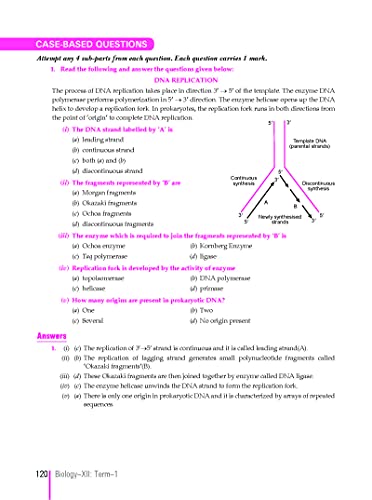 Image of Xam Idea CBSE MCQs Chapterwise For Term I, Class 12 Biology (With massive Question Bank and OMR Sheets for real-time practise)