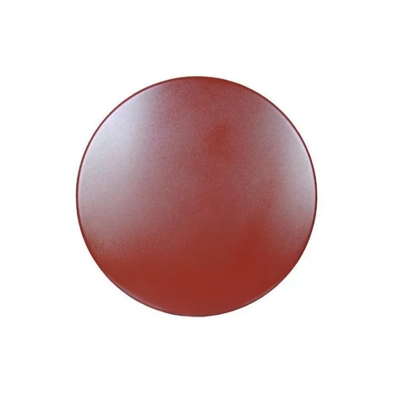 DISCO ACCIAIO LISCIA MASSETTI Ø600MM PER MONOSPAZZOLA RAIMONDI - ART. 214