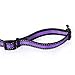 Mile High Life Dog Collar | Nylon Reflective Dog Collars | Light Weight Puppy Collars | Purple Dog Collars for Medium Dogs (Purple, Medium)