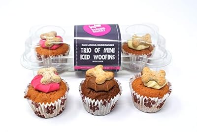 Trio of Mini Iced Woofins - 3 Little Cupcakes for Dog Doggy Treat