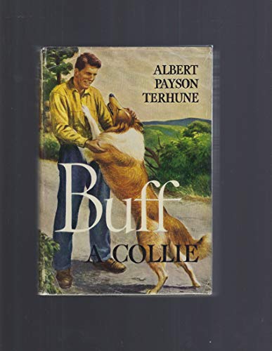 Buff: A Collie