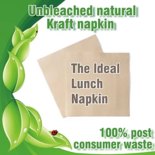 Recycled Post Consumer Napkins, Compostable Unbleached Eco Lunch Napkins, 50 Pcs Disposable Dinner Napkin #TOP1