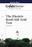 GradeSaver (TM) Lesson Plans: The Electric Kool-Aid Acid Test