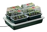 Dauerheizung mit 10 Watt. Das Mini-Gewächshaus hat 2 kleine Löcher im Boden, so dass einfach über die Wanne bewässert werden kann.