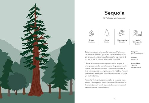 Arborama. Scopri E Osserva Il Favoloso Mondo Degli Alberi. Ediz. A Colori - 4