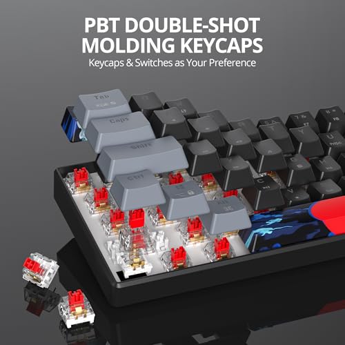 Image of Protable 60% Percent Gaming Keyboard Mechanical, Mini Compact RGB Backlit 61 Keys Wired Office Keyboard with Red Switch for Mac /Win (Dark /red Switch)