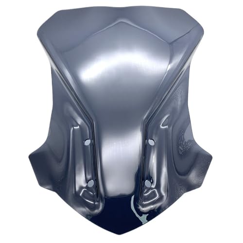Pare-Brise G310GS Déflecteur Vent Moto G310 GS 2017-2024 Visière