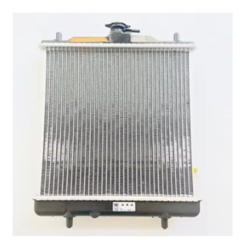 Ventilador de agua del radiador apto para Renli 500 Dune Buggy Go Kart Xinyang