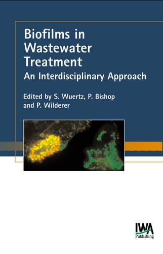 Biofilms in Wastewater Treatment: An Interdisciplinary Approach (Water & Wastewater Practitioner Series: STOWA Report)