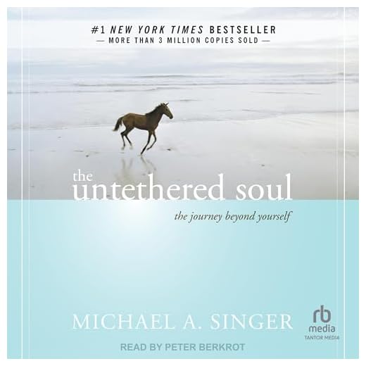 The Untethered Soul: The Journey Beyond Yourself