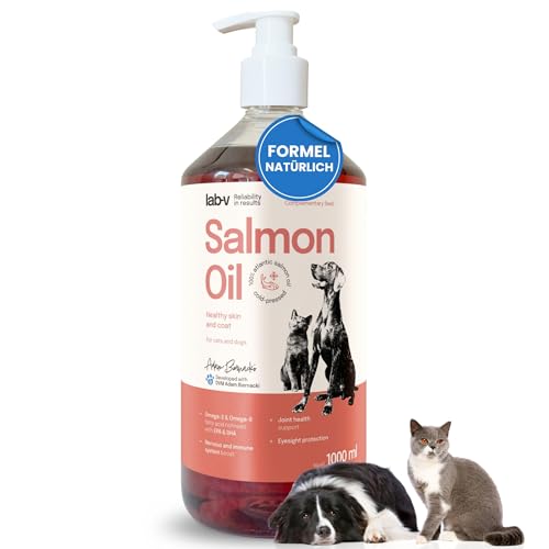 Lab-V Lachsöl Hund & Katze 1L, 100% Atlantisches Fischöl für Hunde & Katzen, Omega 3 für Hunde & Katzen mit EPA & DHA, Lachsöl Hunde Testsieger, Salmon Oil for Dogs