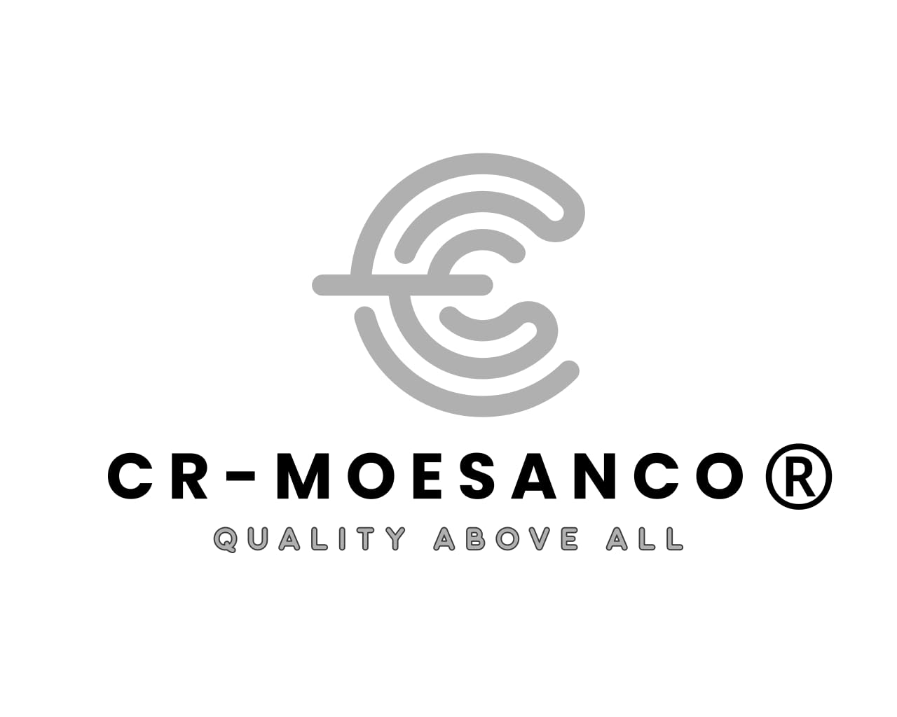 CR-MOESANCO® Cerradura ZADI Oficial | Cerradura Puerta Entrada Caravana y Autocaravana | Maneta de Seguridad con Asa Interior para Furgoneta Camper | Alta Resistencia UV, 2 Llaves (Blanco)