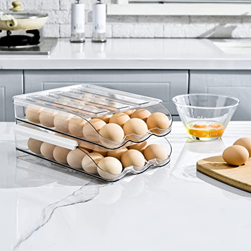 Sooyee 2 Layer Rolling Egg Holder Egg Storage Container For Refrigerator,Ramp Type Auto Roll Egg Organizer For Refrigerator,Large Egg Container Bin,Clear #TOP1